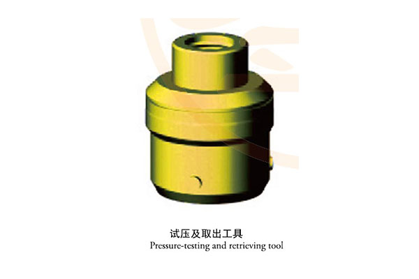 Pressure test and removal tool